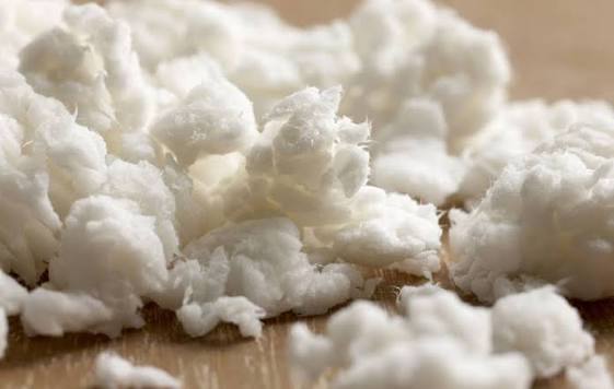 Softwood Pulp