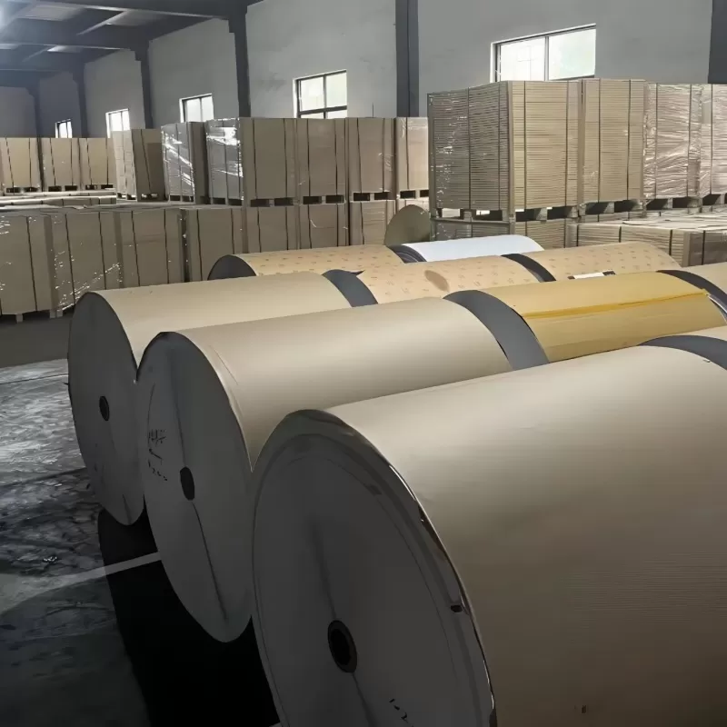 Liquid Packaging Boards - LGI